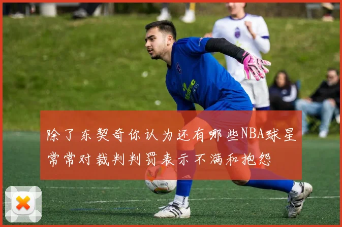 除了东契奇你认为还有哪些NBA球星常常对裁判判罚表示不满和抱怨